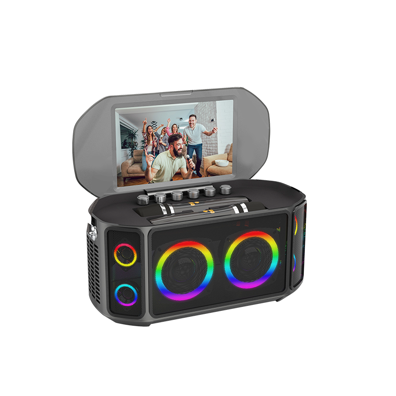 All-in-one Ktv Touch Screen Wi - Bluetooth Speaker review and price